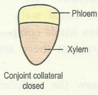 vb cocollclosed.png